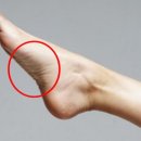 머슬팩토리24 교대점 이미지