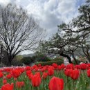 하누식당 이미지