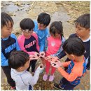 금정태권도 이미지