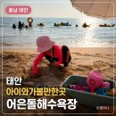쉐이리C펜션민박 | 태안 어은돌해수욕장｜물때·송림캠핑장·노을까지 아이와 다녀온 후기