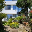 제주하와이 덕수궁 이미지