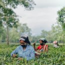 구명한의원 이미지