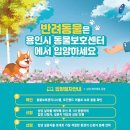 용인시동물보호센터 이미지