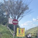 황금사슴농장 이미지