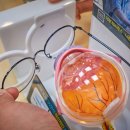 지니스 내동점 이미지