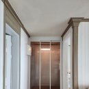 신방한라동백@ 3 이미지