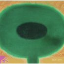 생명의 노래 이미지