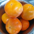착한먹거리 | 농라 착한먹거리농장 단감 공품 후기