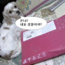 섬물 - 서귀포시 신평로 11 | 섬물