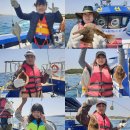 강구바다 이미지