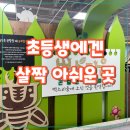 유아랑 | 시흥 벅스리움 후기 : 유아랑 가기 좋은 곤충전시체험관