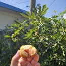 인량전통테마마을 | [ 경북 영덕 ] 자연속 힐링 풀코스 펜션, 인량전통테마마을!