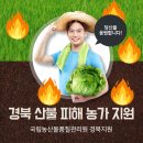 🤝경북 산불 피해 농가 지원 총력! 국립농산물품질관리원의 따뜻한 손길