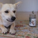 엠엔바이오 이미지