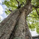 용안보건지소 이미지