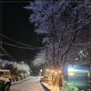 인터넷콘도펜션 | 홍천펜션 힐링이 필요할 때 머물기 편안했던 신영펜션