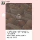 노상청과