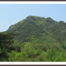 오월(5월) 이미지