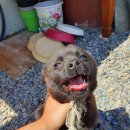 가야산로 이미지