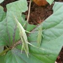 햇귀풍경 이미지