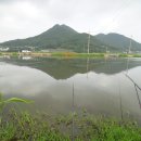 선두포낚시터 이미지