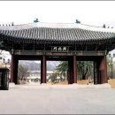 궁터 Daum카페
