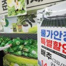 도봉-도봉-서울도봉-2022 이미지