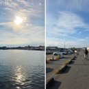 애니렌트카 이미지