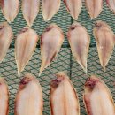 (주)서대 이미지