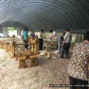 서천군귀농인협의회 야외테이블 만들기 목공교육 이미지