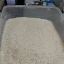 생강 호박고구마 제주귤 황금향 대봉감 쌀 직거래 이미지