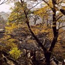 영구암 Daum카페