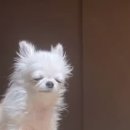 (주)대흥아스콘개발 | 리버스 차은우 (박색이고, 살쪘으며 세금을 낸다)