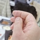 죽변항 | 울진 죽변항 대게 맛집 원피스 수산 북해도 대게 후기