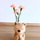 바닐라요가