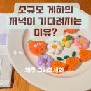 그리고세화게스트하우스 | 제주 소규모 게스트하우스 '그리고 세화' 추천, 1인실, 조식, 후기, 저녁 풍경(뚜벅이 혼자 여행자 필독)