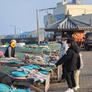 강릉시수산업협동조합 수산물직매장 | 울산 정자 활어 직매장 아이랑 주말 나들이! 정자항 경매 구경&amp;가자미조림 꿀맛 후기