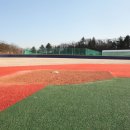 영천야구장 이미지