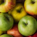 영천남부공인중개사사무소 이미지