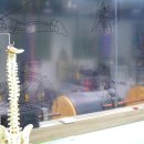 임채홍PT전문센터 이미지