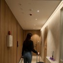 스테이블 380 건대 세종점 이미지