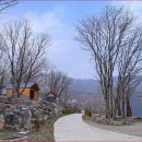 황매산 숲속야영장 이미지