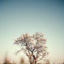 소소한향기 이미지