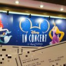 세종문화회관 카페베네 예술동 | [콘서트] 2022 디즈니 인 콘서트 3층 시야 내돈내산 후기