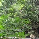 학교민박 이미지