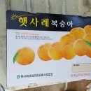 혁이네마트 이미지