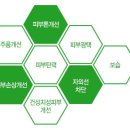 클레오피부관리 네이버블로그