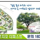 세풍중군간도로 이미지