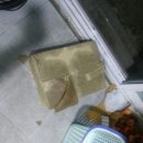 러브독스 이미지