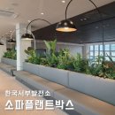 감상발전소 | 소파 플랜트박스 휴게실 라운지 조화조경 연출 한국서부발전소